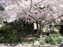 DSC00125-2